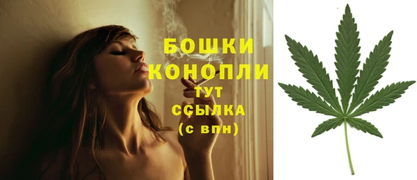 ПСИЛОЦИБИНОВЫЕ ГРИБЫ Бугульма