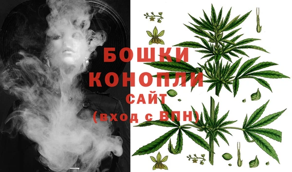 гидропоника Бородино