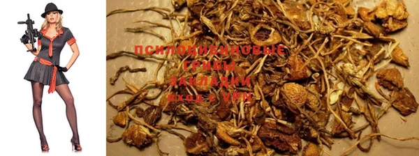 ПСИЛОЦИБИНОВЫЕ ГРИБЫ Бугульма
