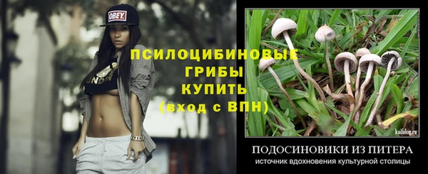 ПСИЛОЦИБИНОВЫЕ ГРИБЫ Бугульма
