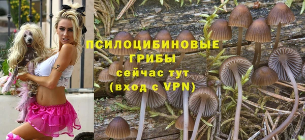 гидропоника Бородино