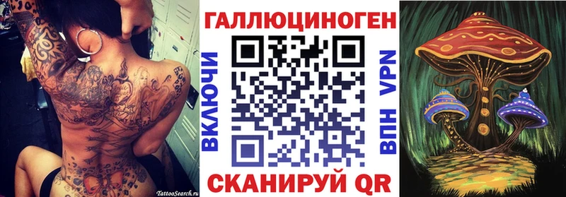 Псилоцибиновые грибы MAGIC MUSHROOMS  darknet какой сайт  Чебоксары 